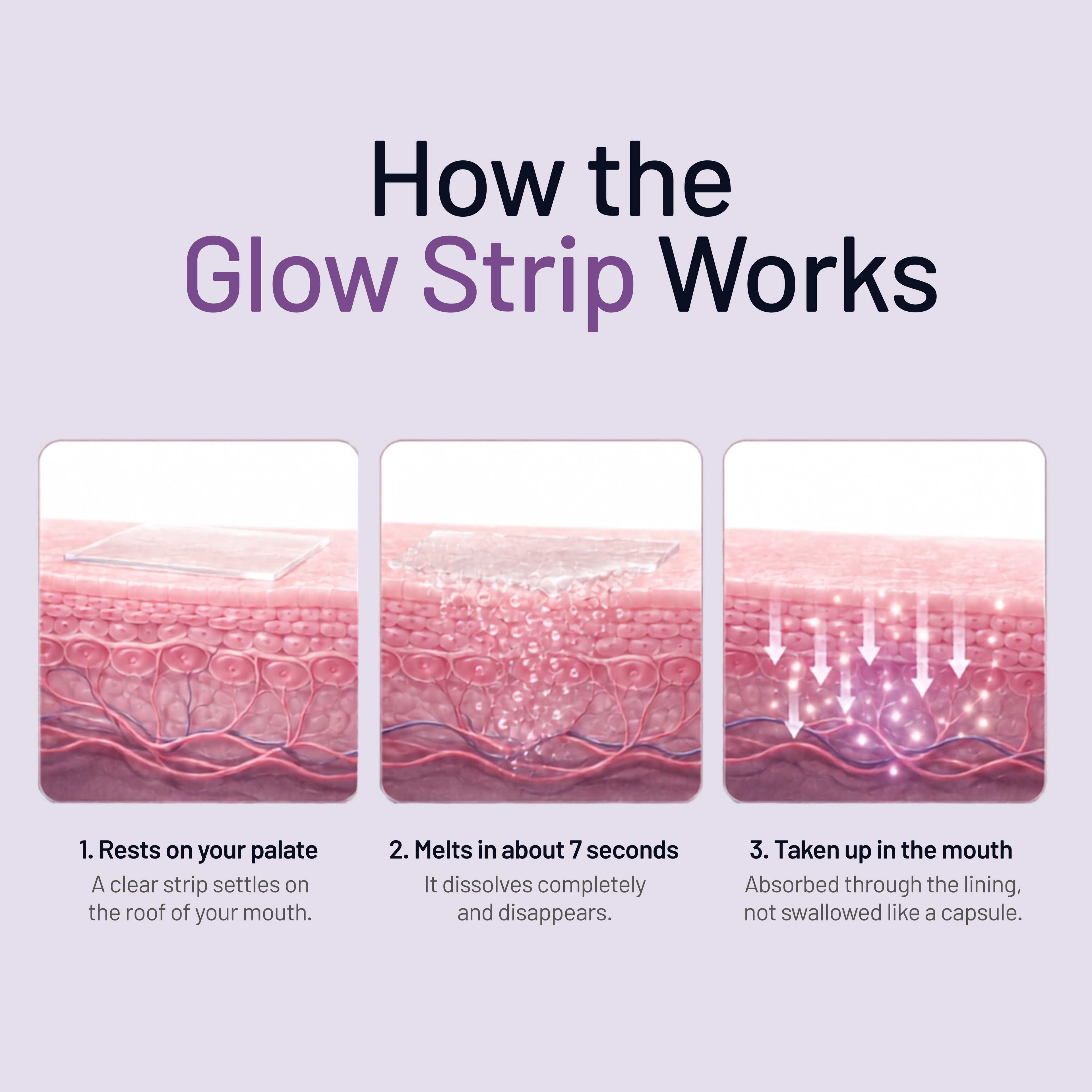 Meltgen Glow Strips