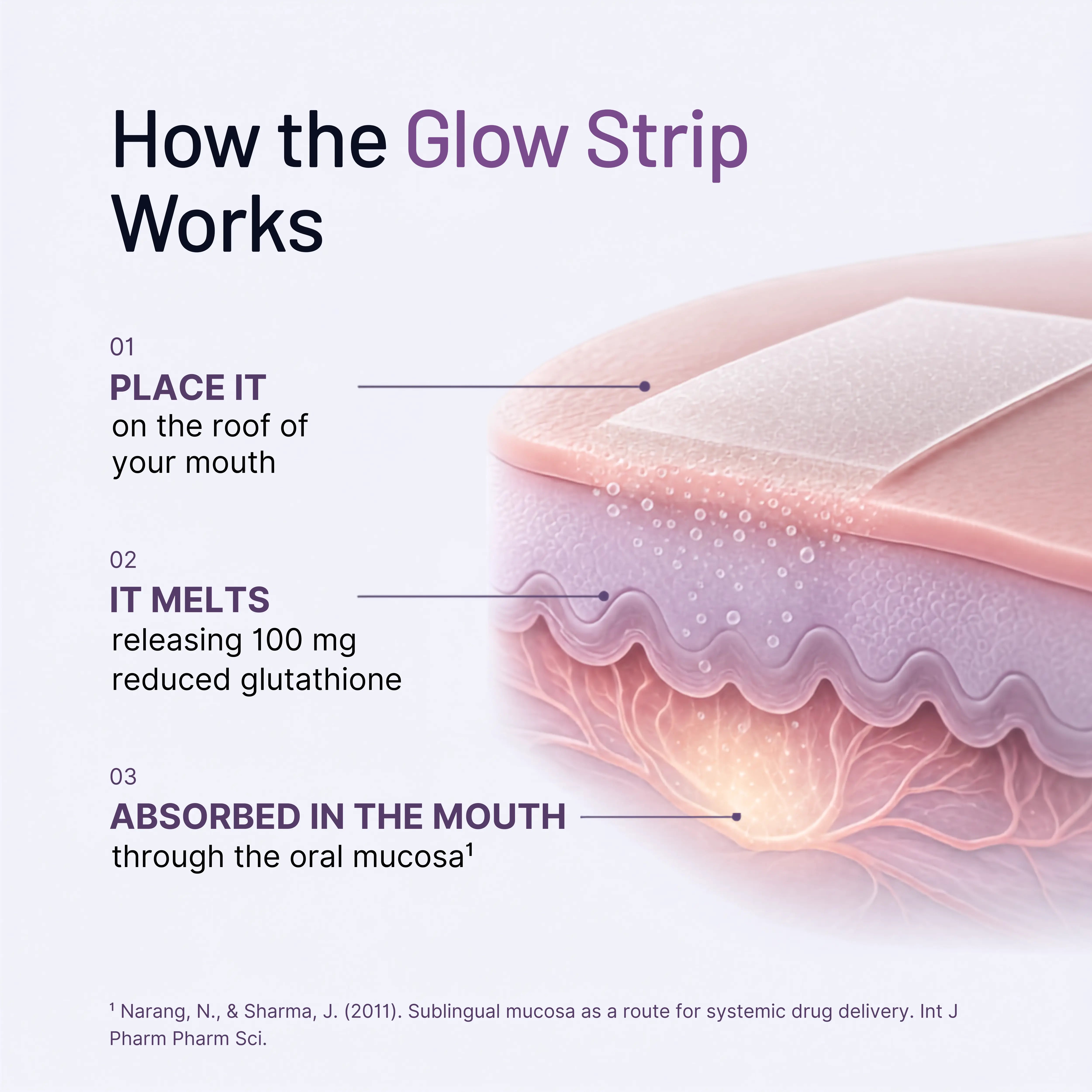 Meltgen Glow Strips
